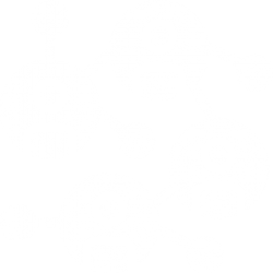 quicsend network